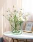 Preview: Muxing Glas Blumenvase Handtasche geformt klar Vase Aquarium